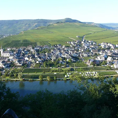 Apartment Weingut Thielen-nilles Minheim