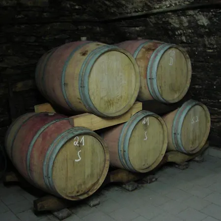 Weingut Thielen-nilles * Minheim