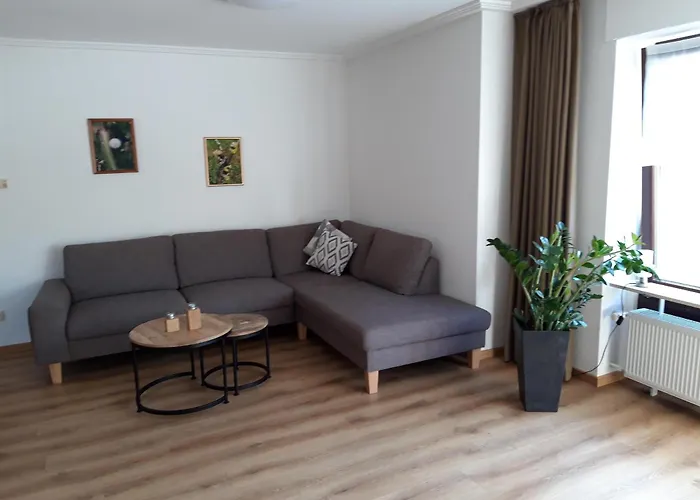 公寓 Weingut Thielen-nilles