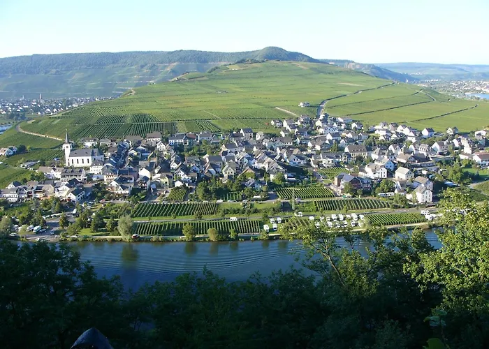 公寓 Weingut Thielen-nilles Minheim